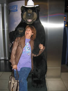 Calgary bear